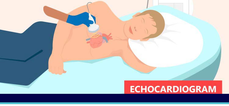 Echocardiogram Testing Near Me in Joliet, IL Echocardiogram Testing Near Me in Joliet, IL