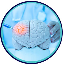 Neurology - Internal Medicine and Family Practice in Joliet, IL  
