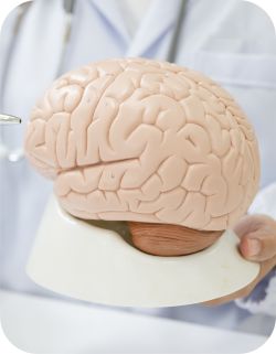 Neurology Near Me in Joliet, IL