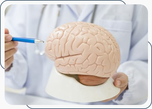 Neurology Treatment at Internal Medicine and Family Practice, Primary Care in Joliet, IL